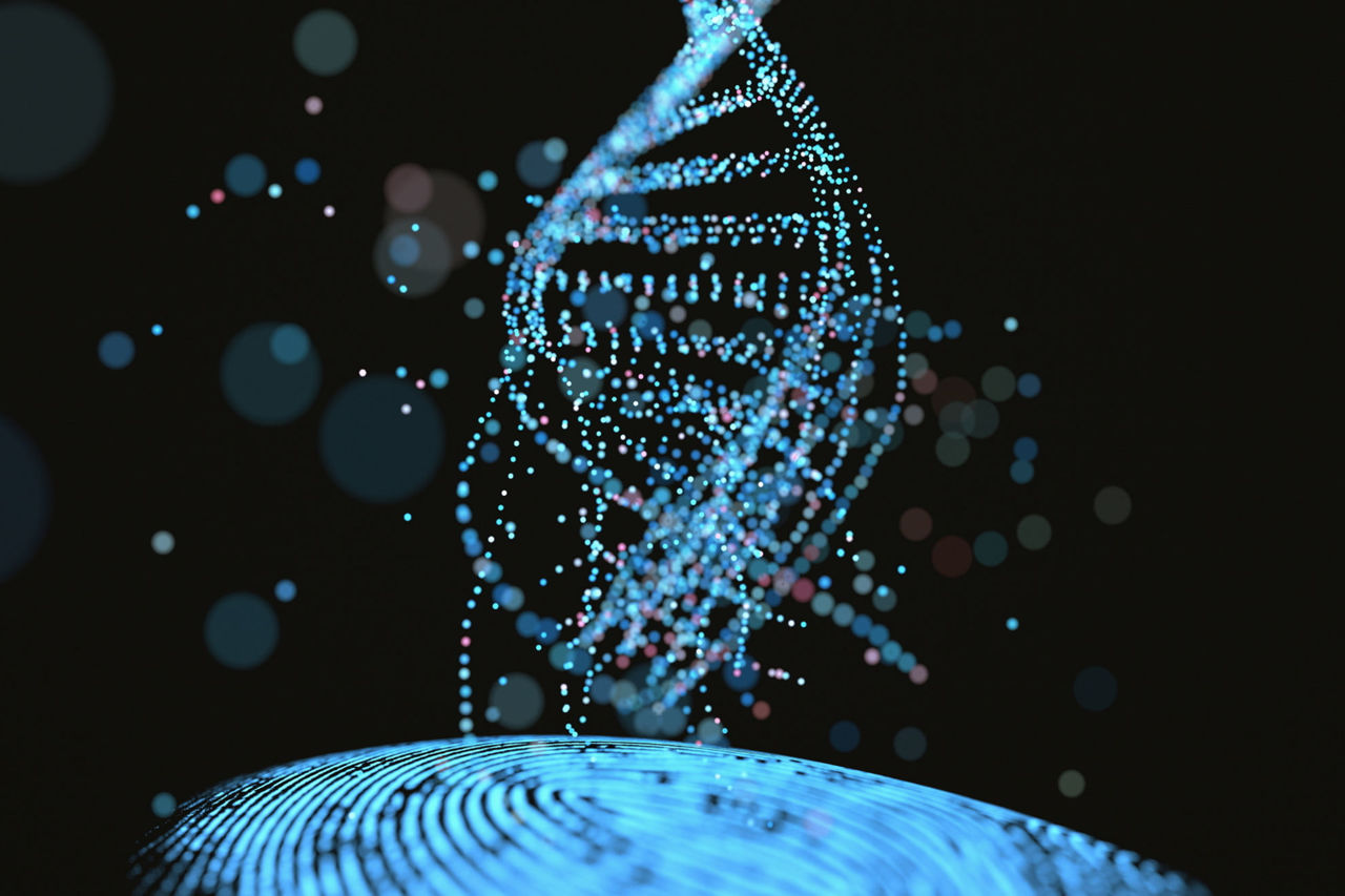 DNA profil: molekularni prstni odtis mojega psa